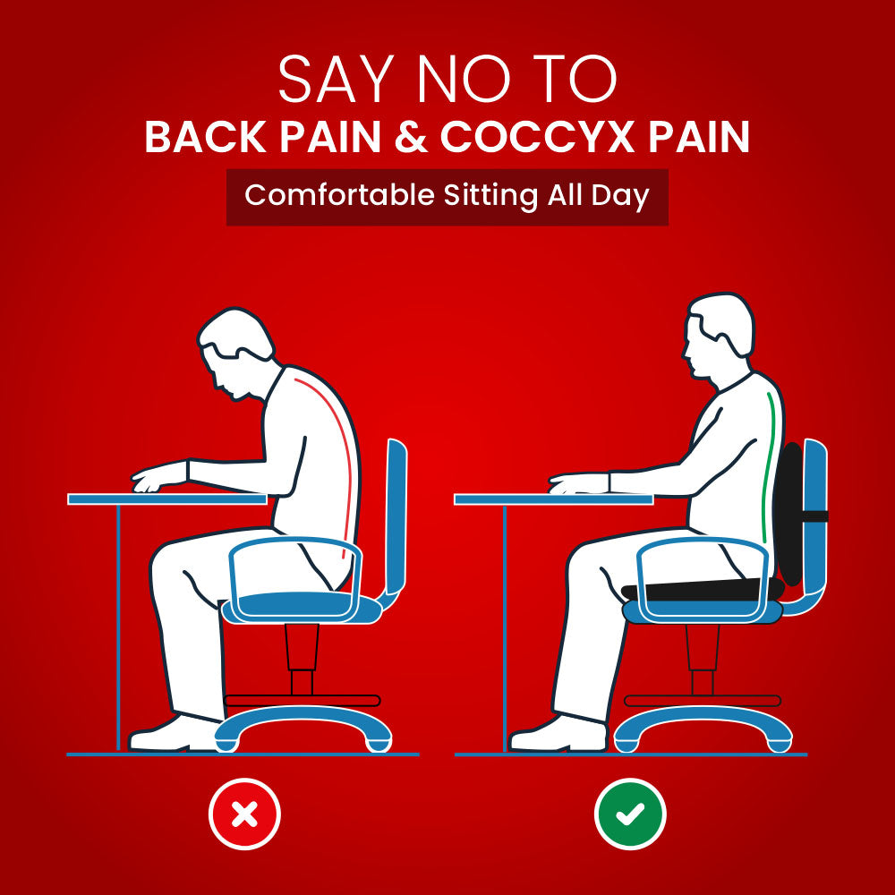 Dr.  Ortho Back Support and Coccyx Cushion Combo