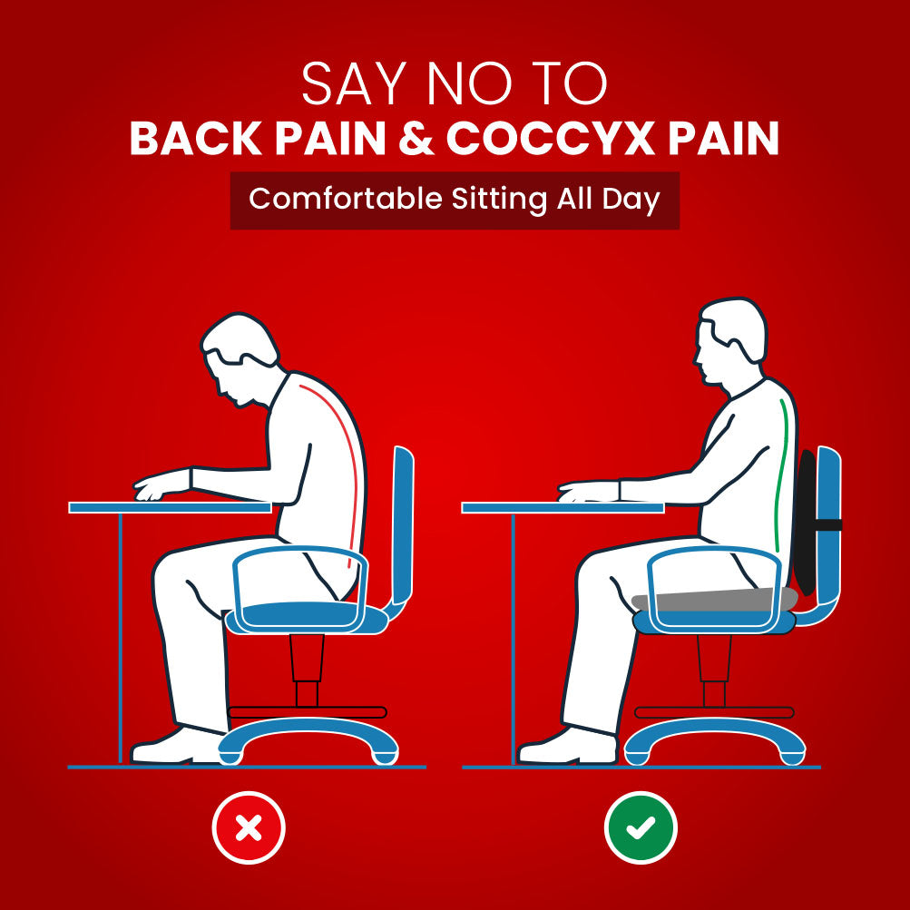 Dr. Ortho Premium Back Rest and Coccyx Cushion Combo