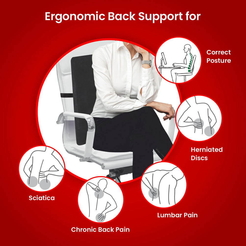 Middle Back Rest Orthopaedic Back Rest for Superior Spine Support & Comfort – Divisa Store