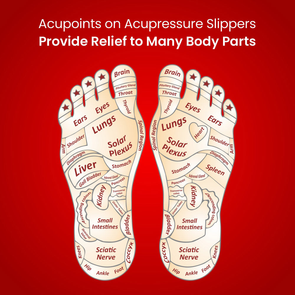 Dr. Ortho Premium Acupressure Slippers